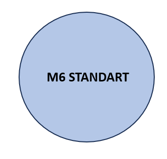 m6 standat